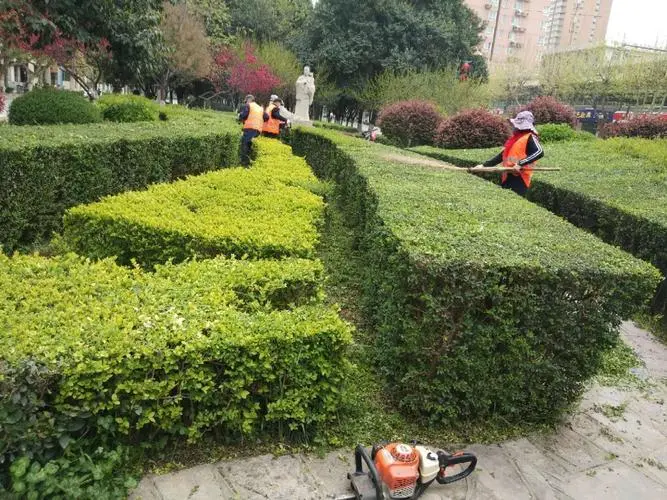 室外绿化工程验收标准规范