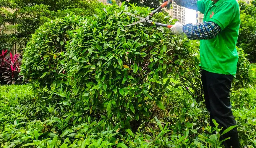 十堰市政绿化工程是什么工程