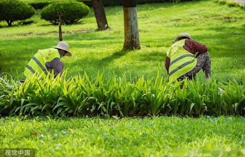 金昌商住小区绿化工程项目