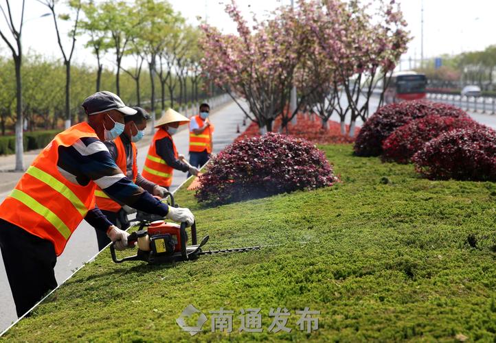 南平市恒丰林业绿化工程