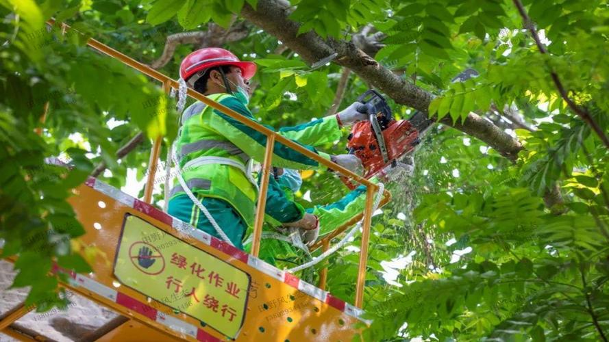复兴大街正定路段绿化工程